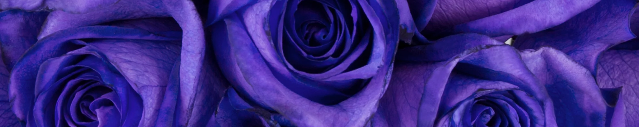 Cover for LaKeacha Collins's Obituary
