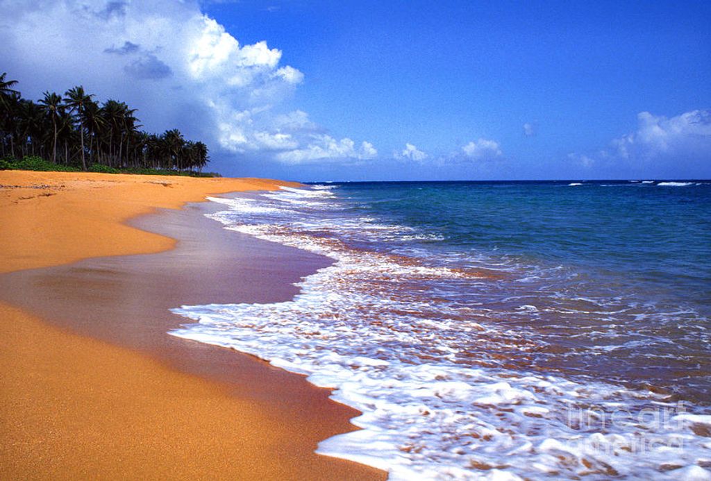 Keith D Alexander Profile Photo