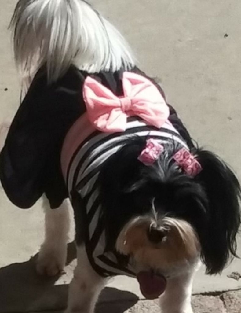 Khloe Taylor Jinkins