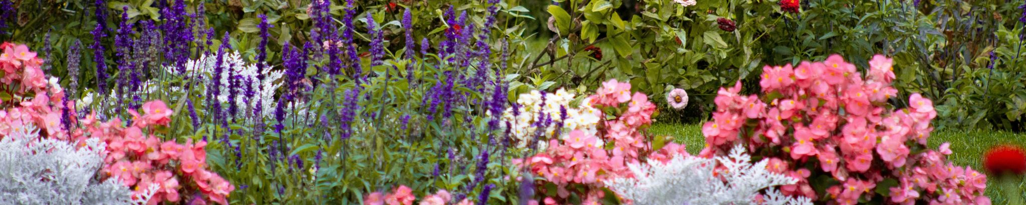 Cover for Judy Penick Chance's Obituary