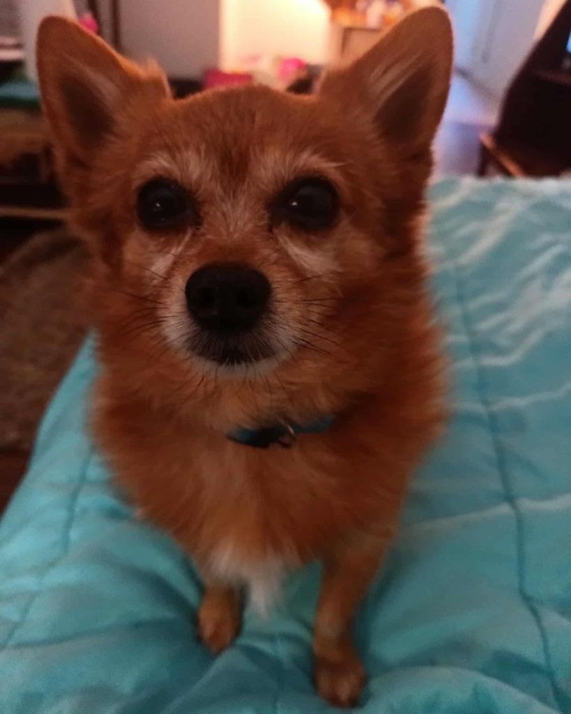 Porky Sweeney Profile Photo