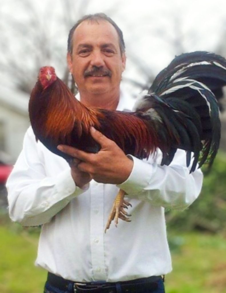 Salvador "Chava" Mtanous Castaño Profile Photo