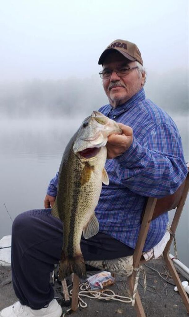 Johnny Mark Freil Profile Photo