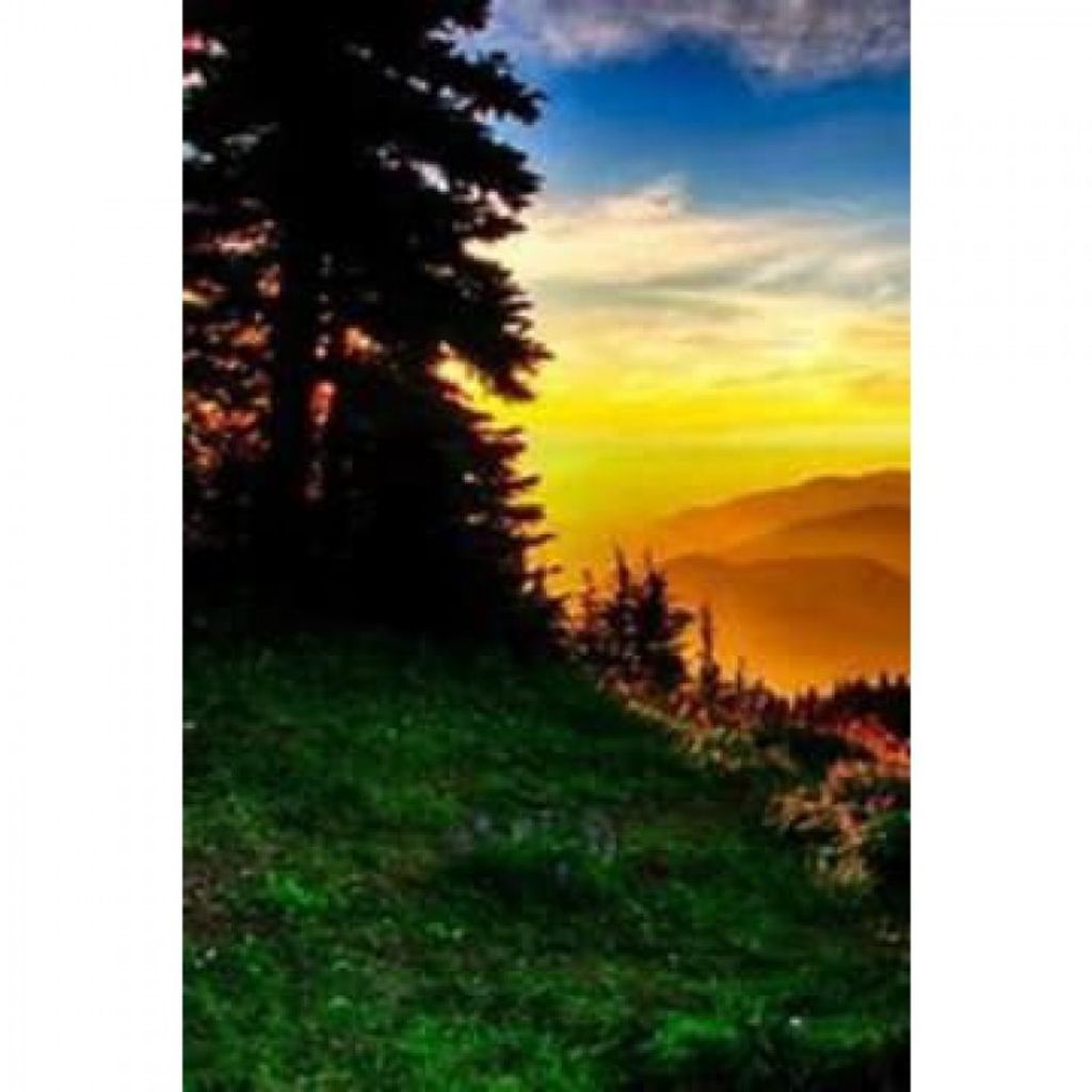 Brandon Charles Schweers Profile Photo