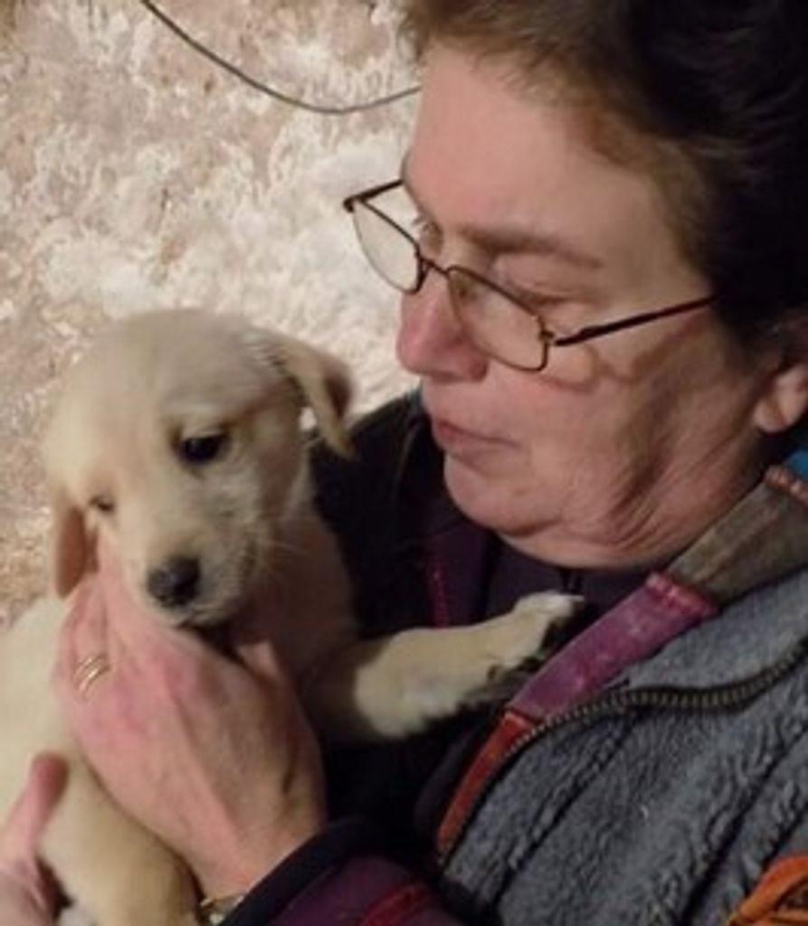 Lisa Johnson Profile Photo