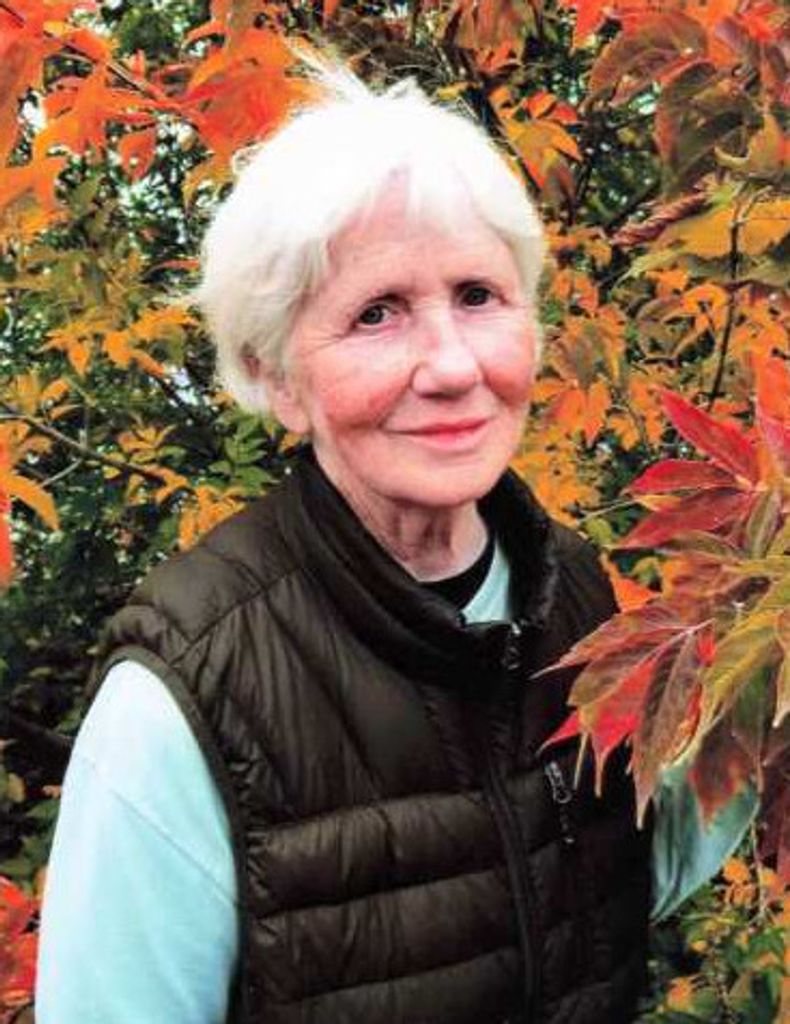 Kathleen Ann (Quealy)  Fink