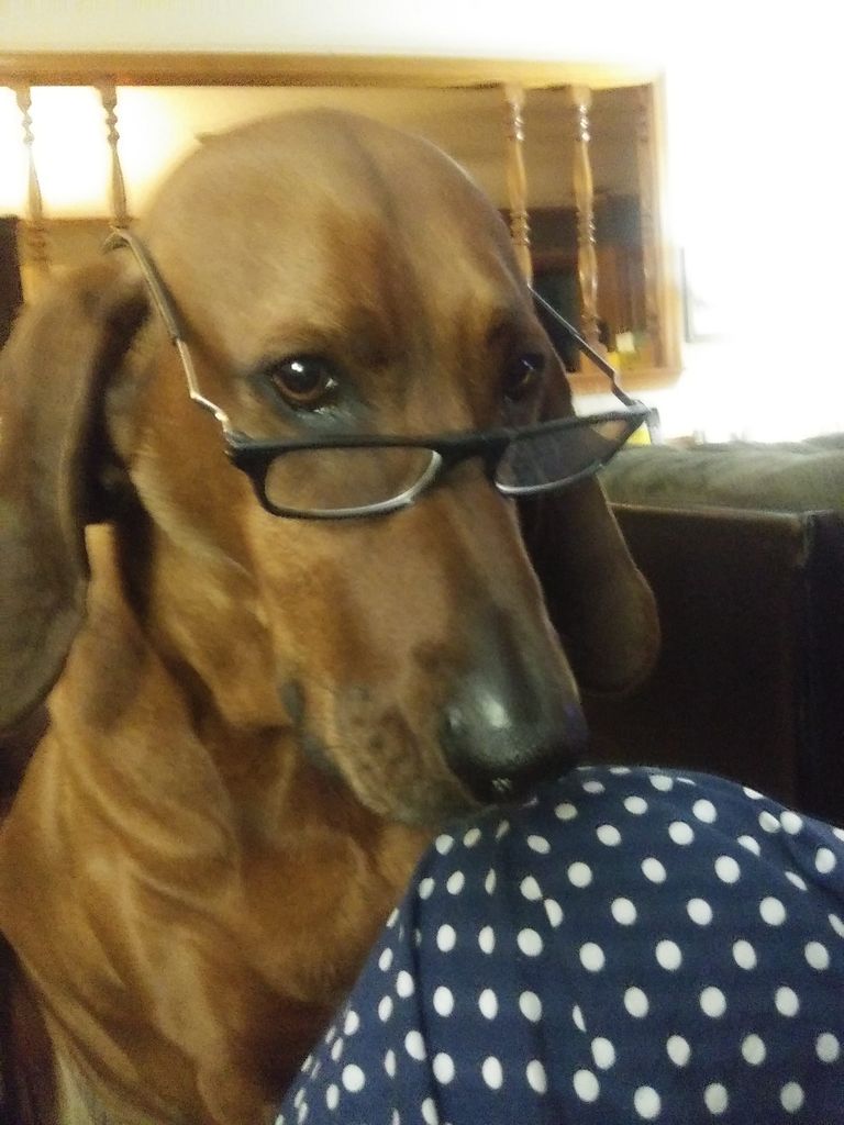 Jethro Beard Profile Photo