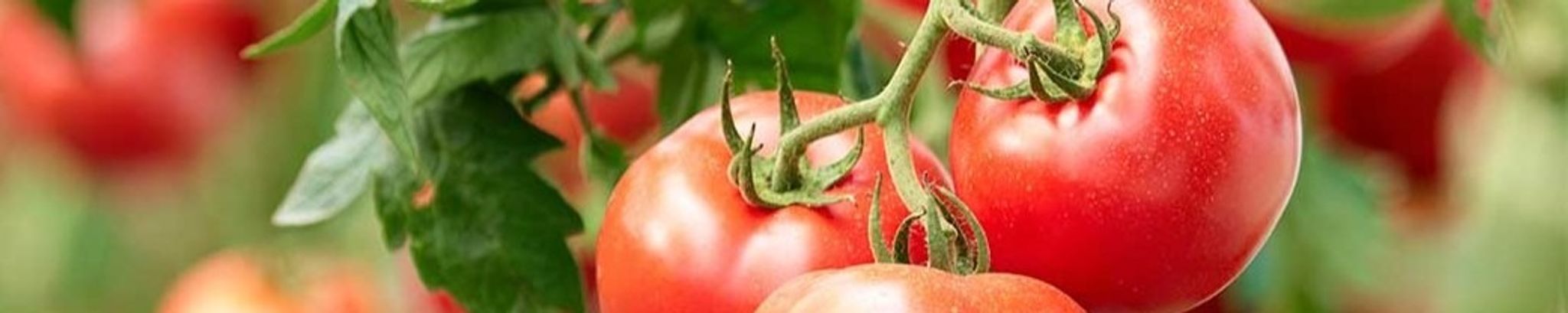 Cover for Linda L. Addair's Obituary