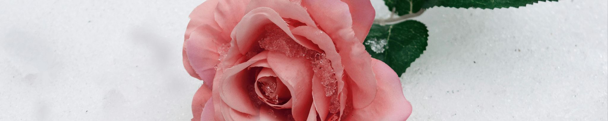 Cover for Emalie Sigrid Lorens's Obituary