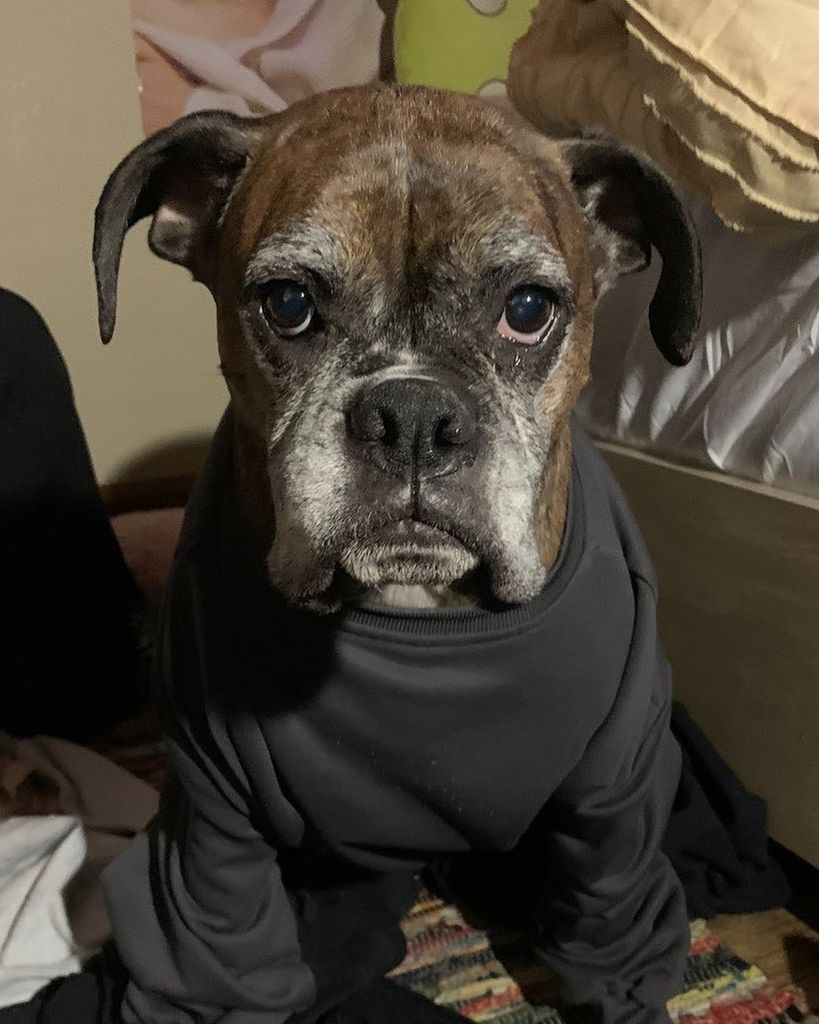 Tatum Juniper Mitchell Fansler