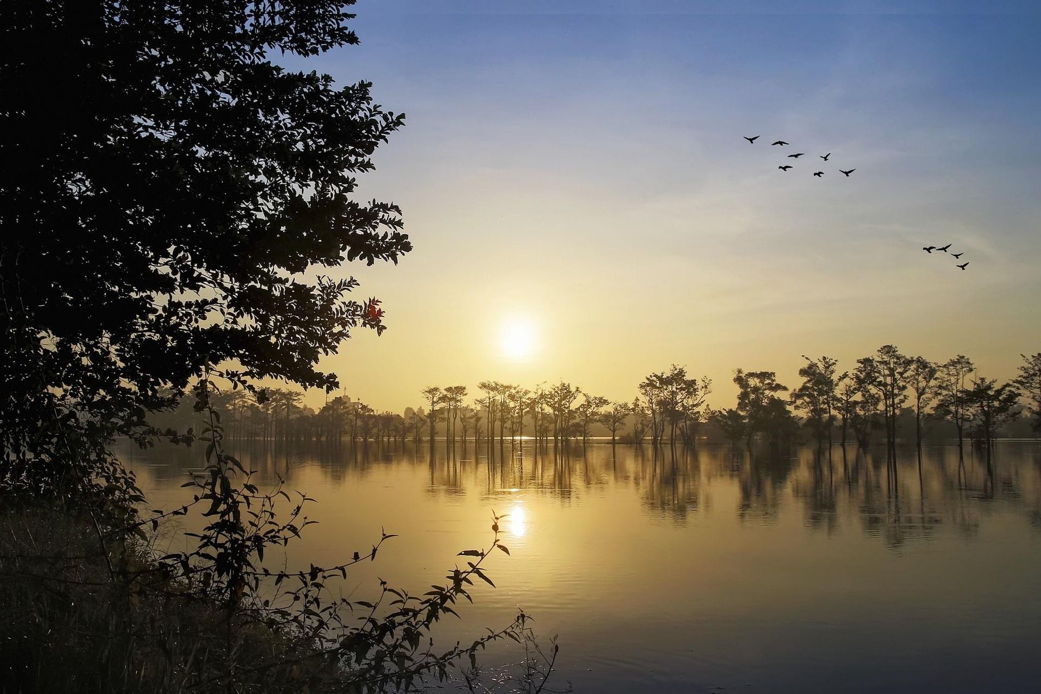 Cover for Benny Ralph Eye's Obituary