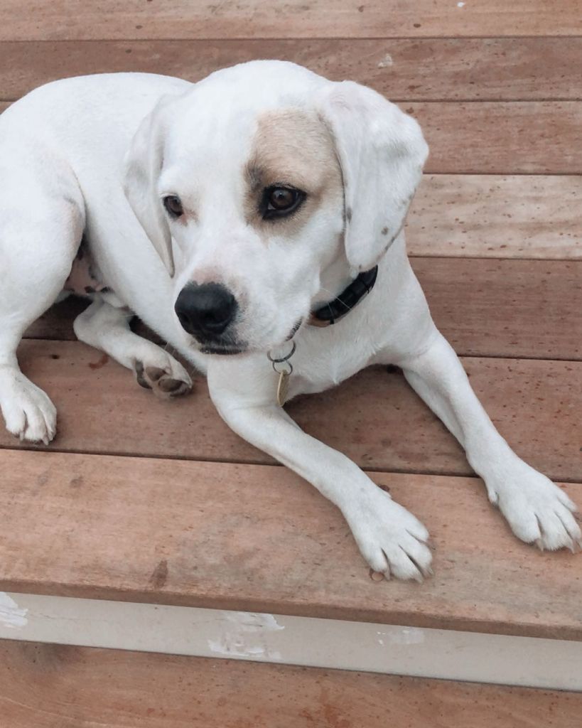 Max Aguilar Profile Photo