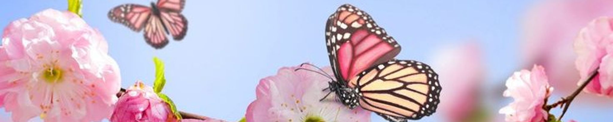 Cover for Tina Marie Roy's Obituary