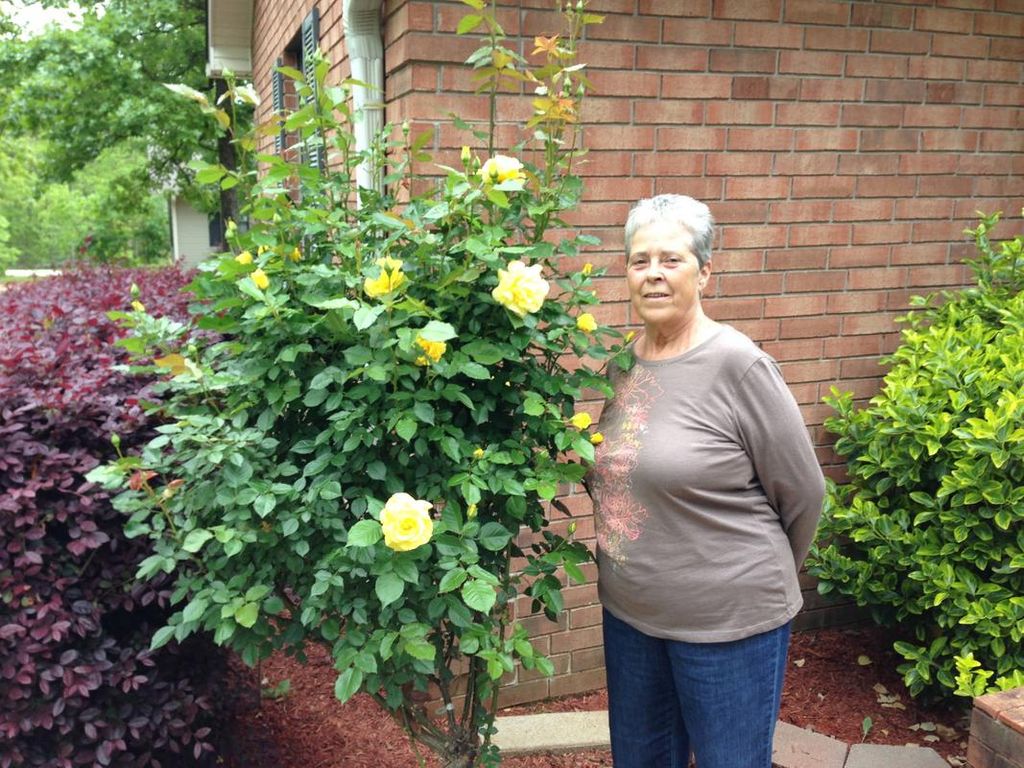 Carole Ann Mcanally Profile Photo