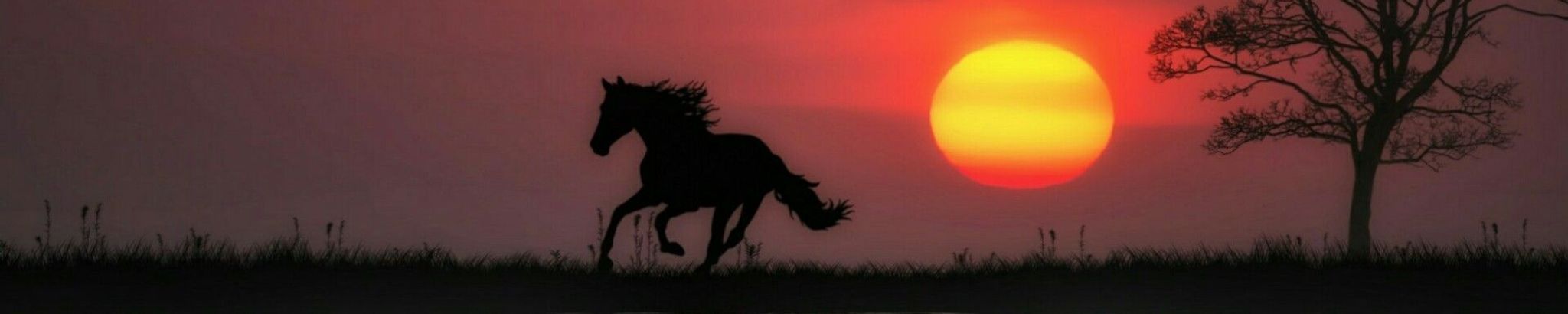 Cover for Siri Louise Isabelle Koenig's Obituary