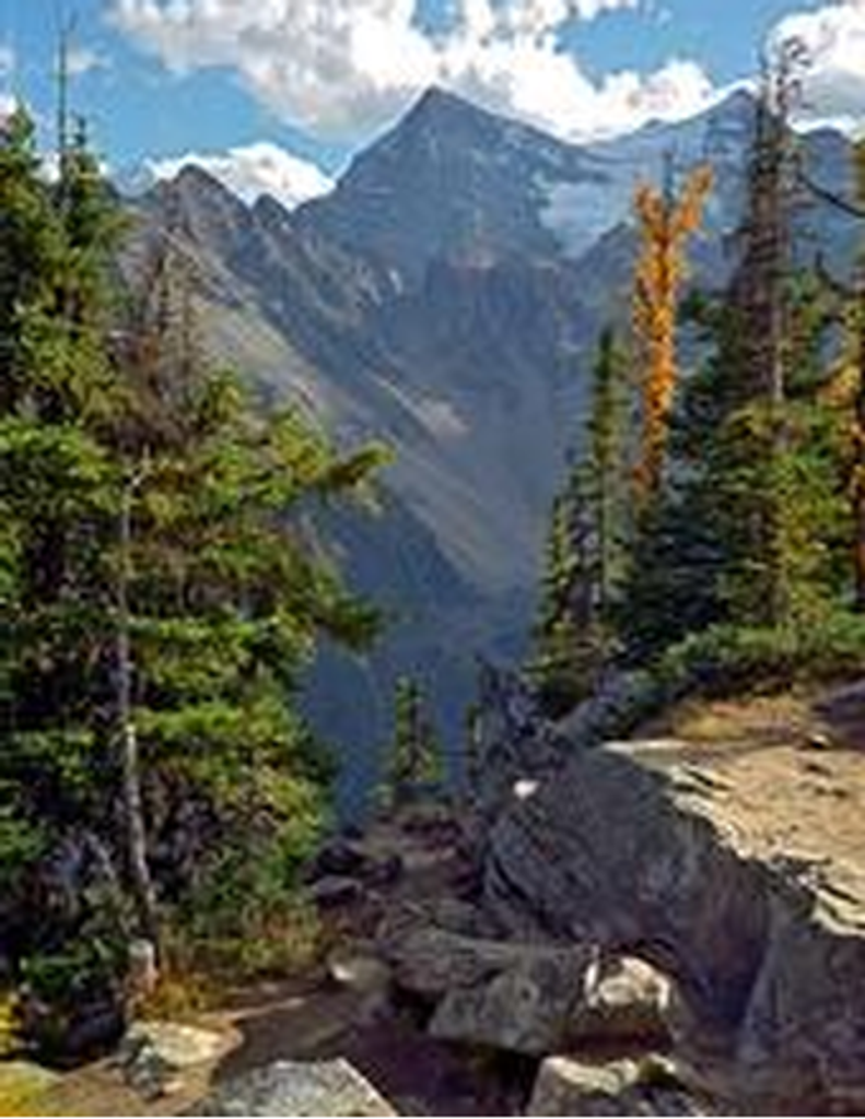 Carl James Bull, Iii