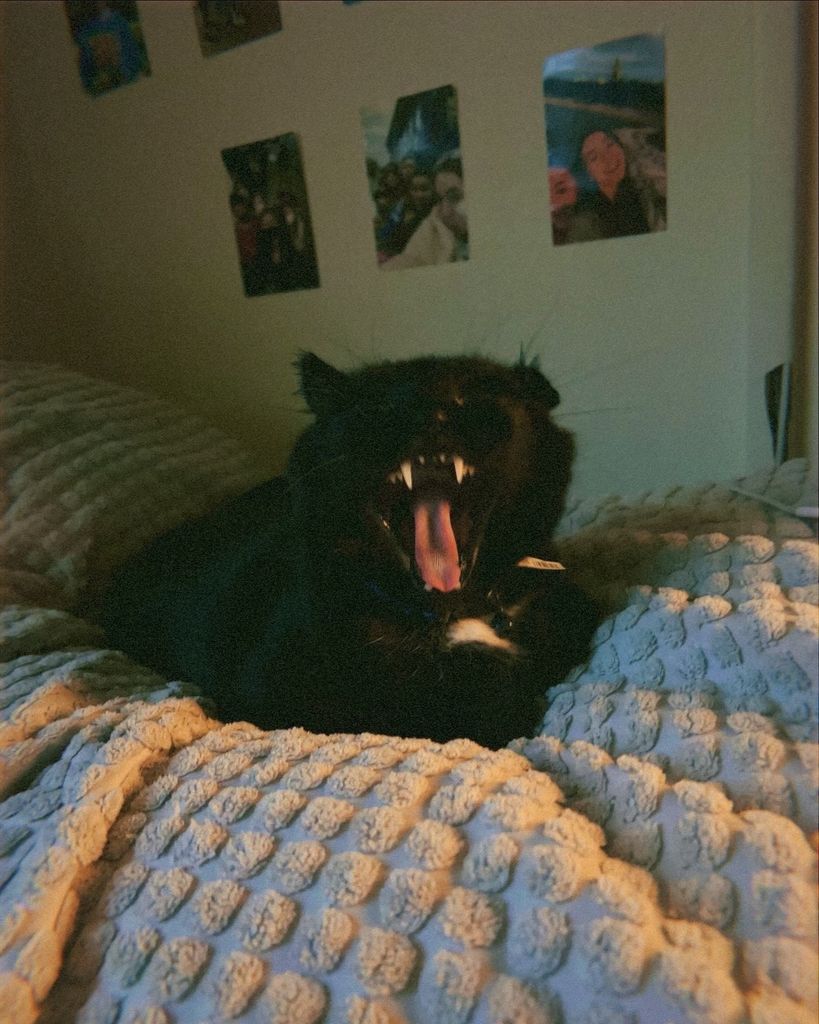 T'Challa