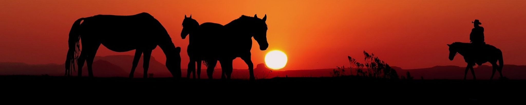 Cover for Blaine Binggeli's Obituary