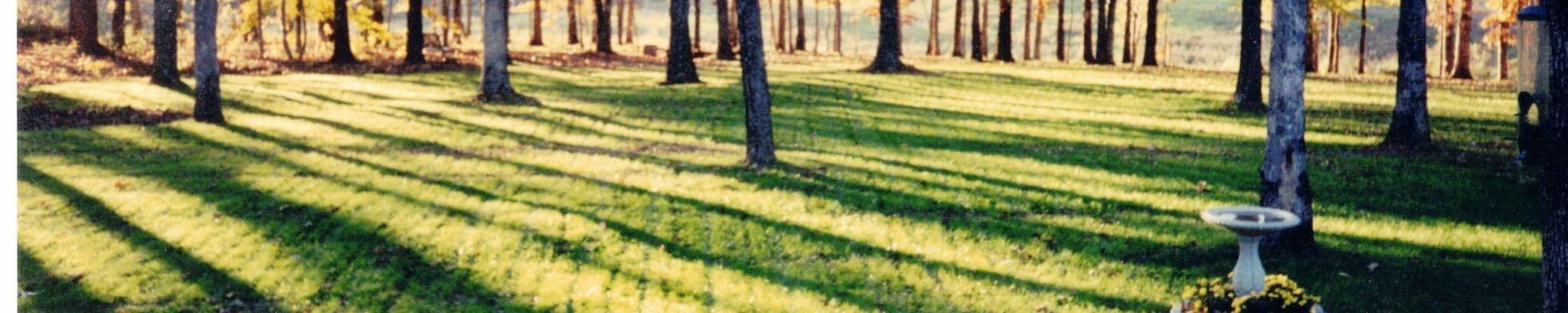 Cover photo for Mary Janet Wilson Osthus's Obituary