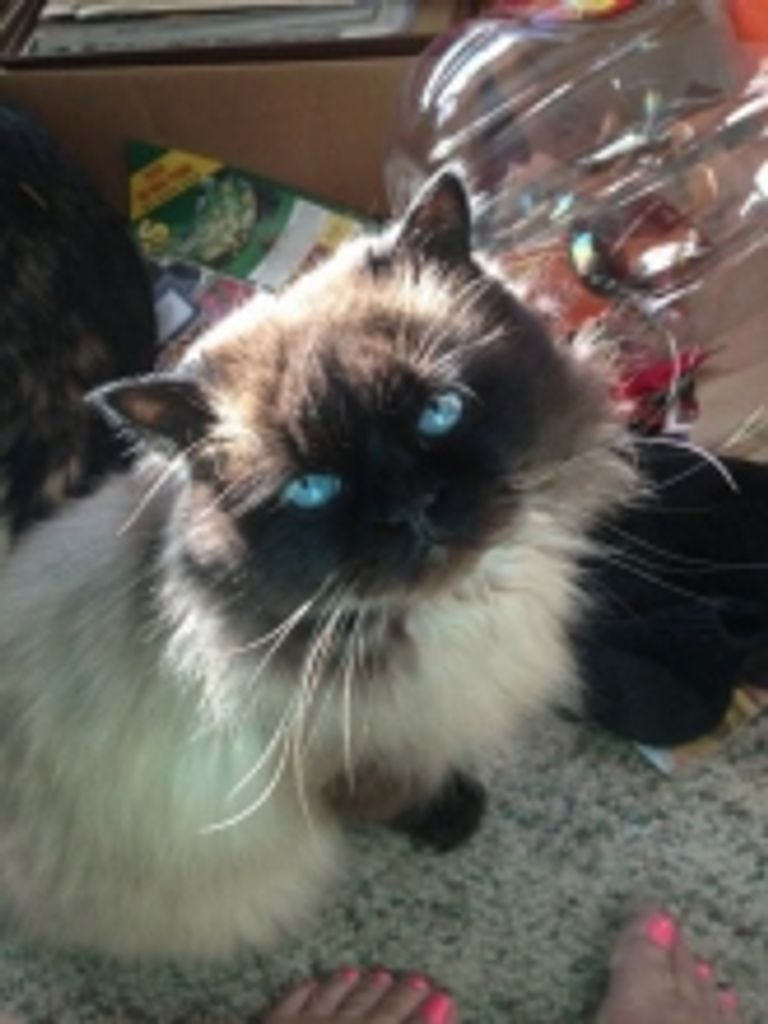 Tucker Rosenberg Profile Photo