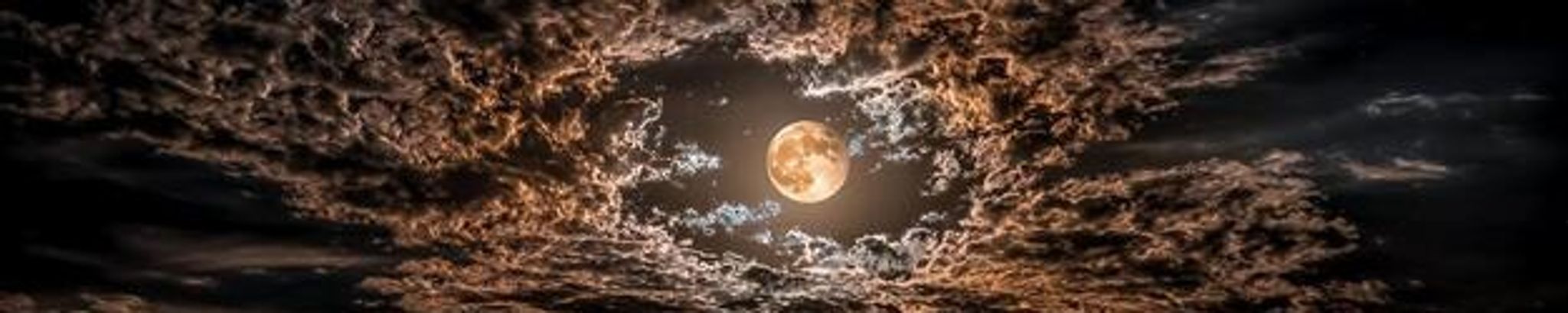 Cover for Paula Lynn (Howard) Sidell's Obituary