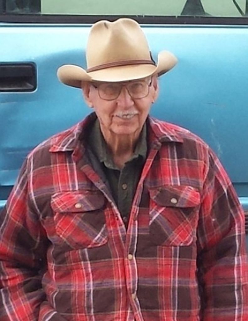 Lloyd Bache