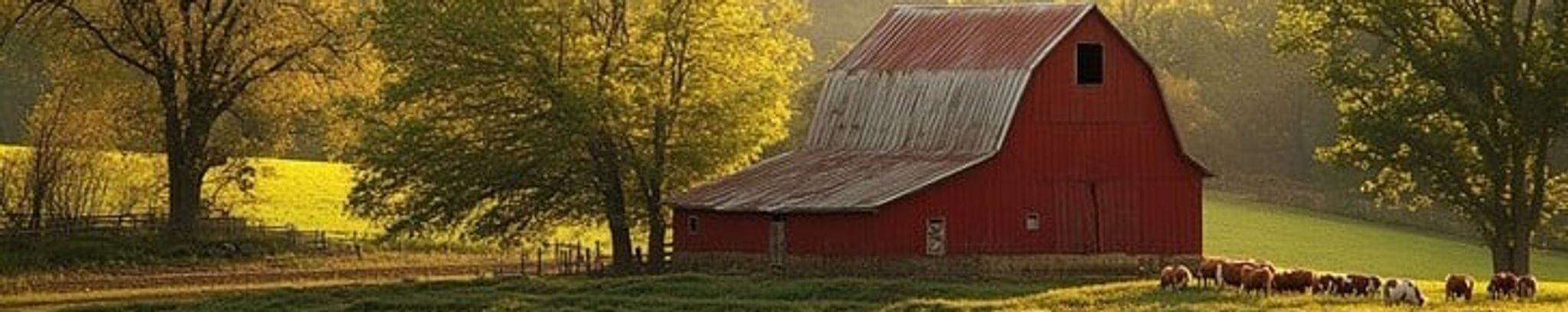 Cover photo for Donald L. Weaver's Obituary