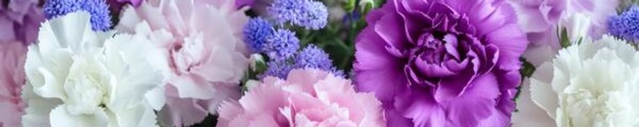 Cover photo for Martha Beisel (née Werenka)'s Obituary