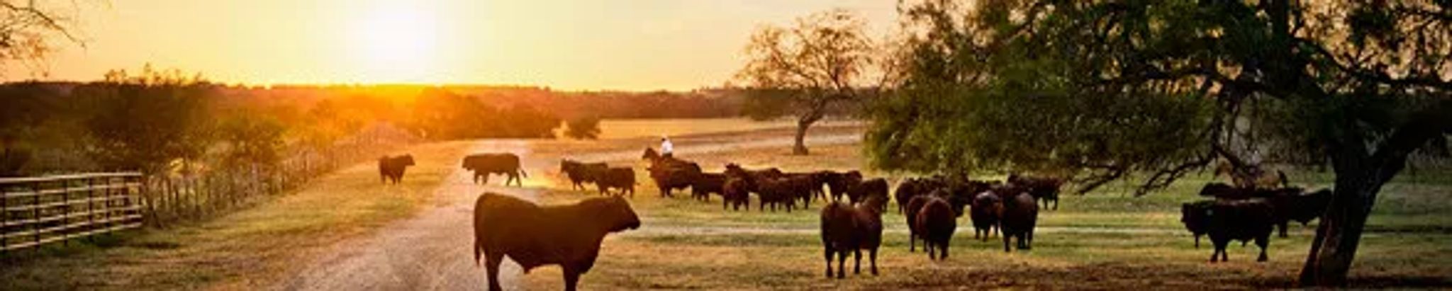 Cover for Charles "Gene" Hansen's Obituary