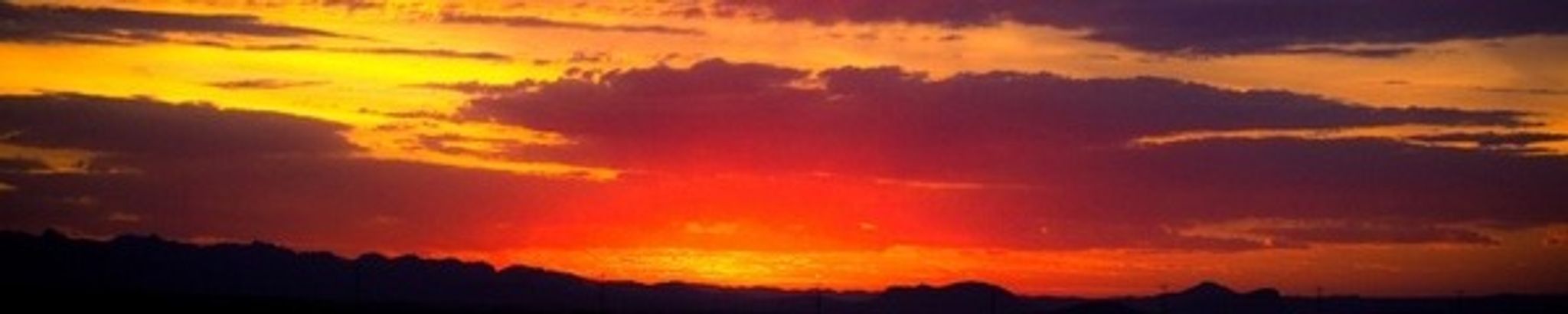 Cover photo for Emily Marie Gullickson's Obituary