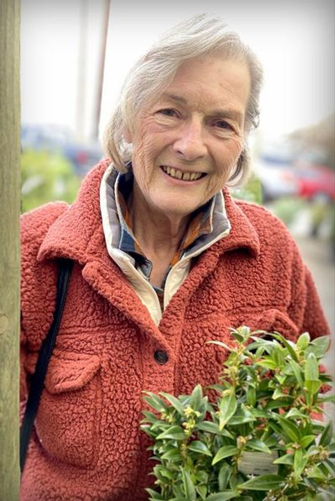 Lynda Murphy O'Brien Profile Photo