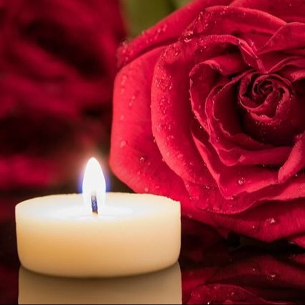 Diana Bishop Profile Photo