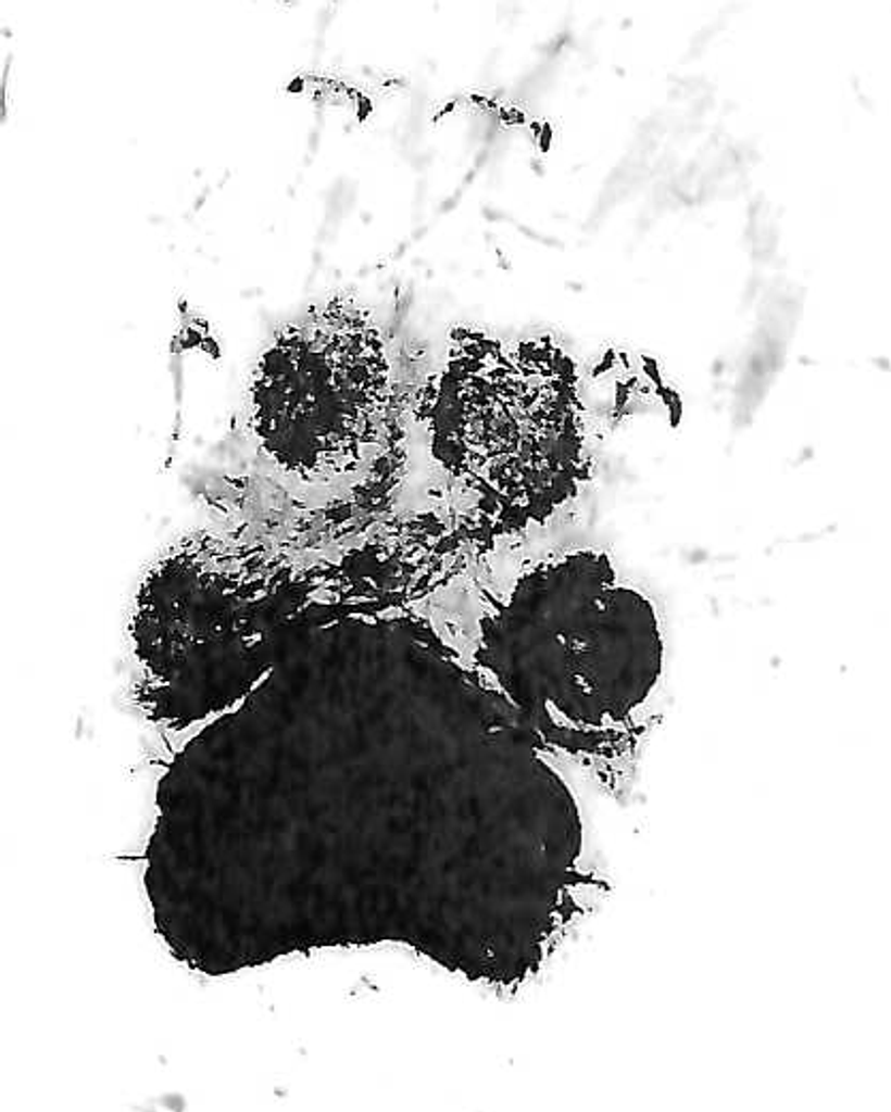 Rico Gregory Profile Photo