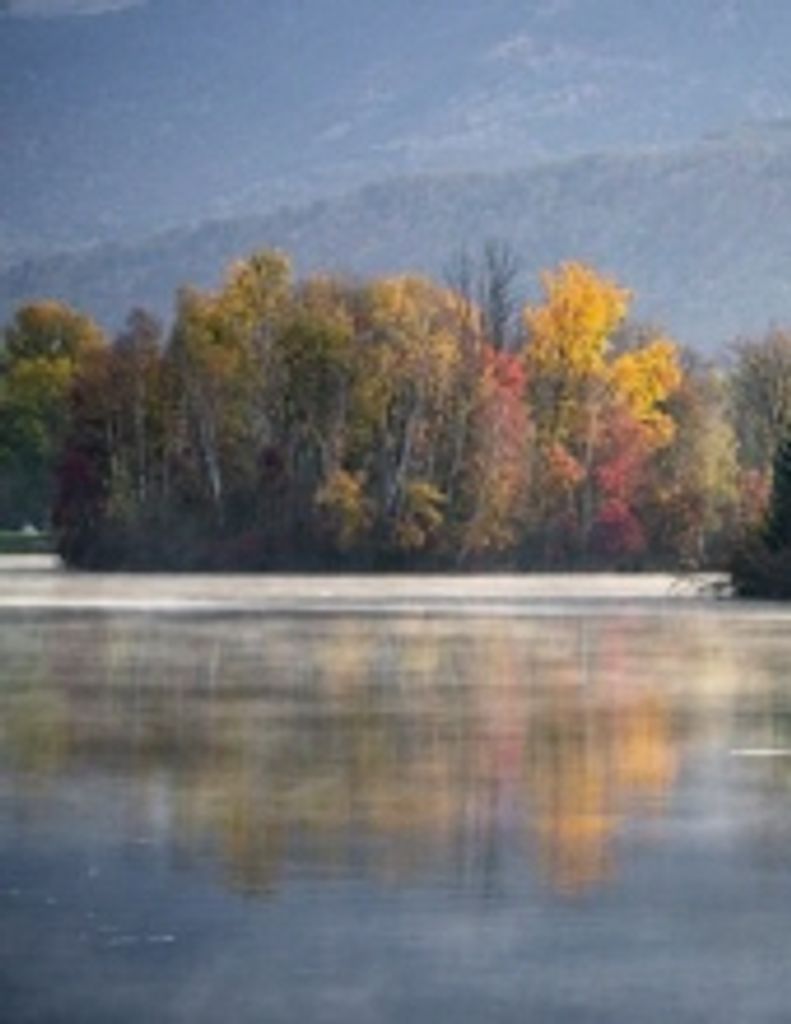 Glenn Robert Mccarthy