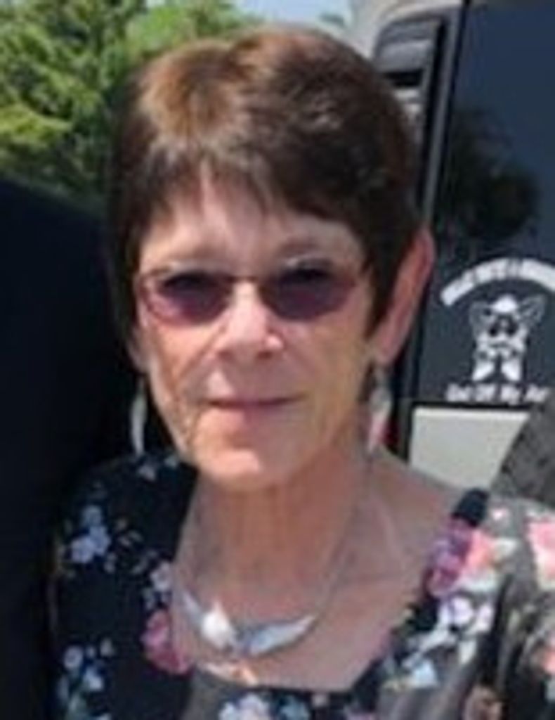 Terry M. (Bauer)  Raines