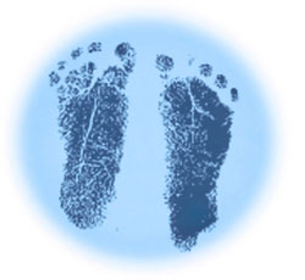 Collin James De Vries