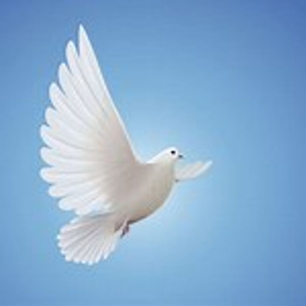 Lc (Bae Bro)  Wheat Sr. Profile Photo