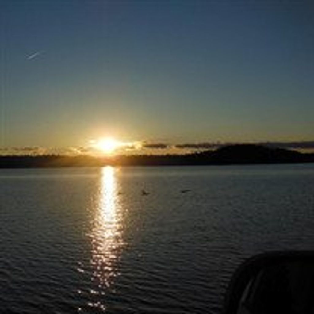 Thadius Morehead Profile Photo