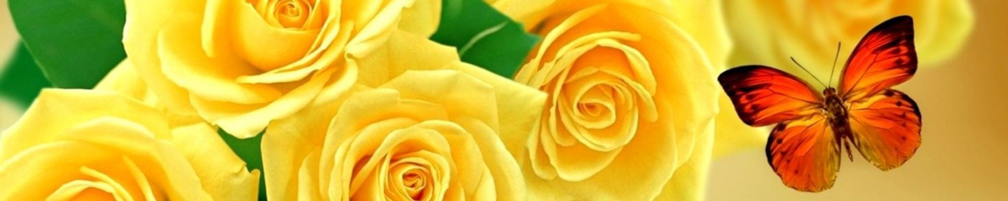 Cover photo for Connie L. Kraemer's Obituary