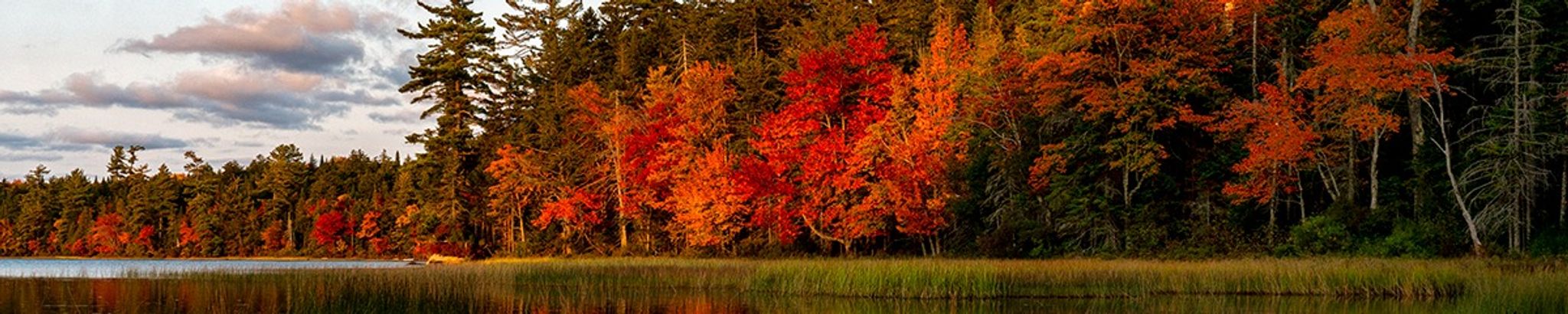 Cover for Ramond Dale O'Rourke's Obituary