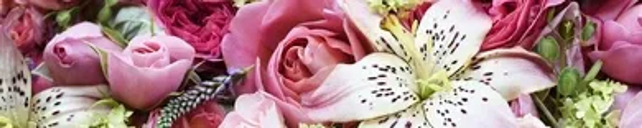 Cover photo for Holly Marie Tollefson's Obituary