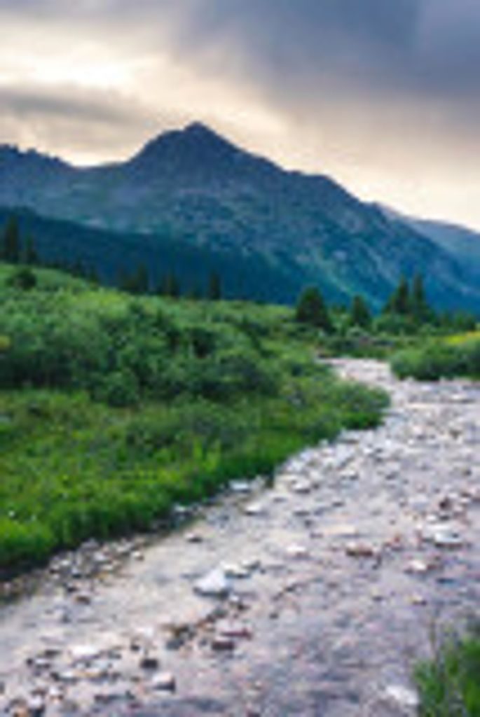 Roberta  Carol Danner Profile Photo