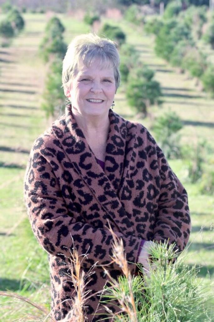Donna Cole