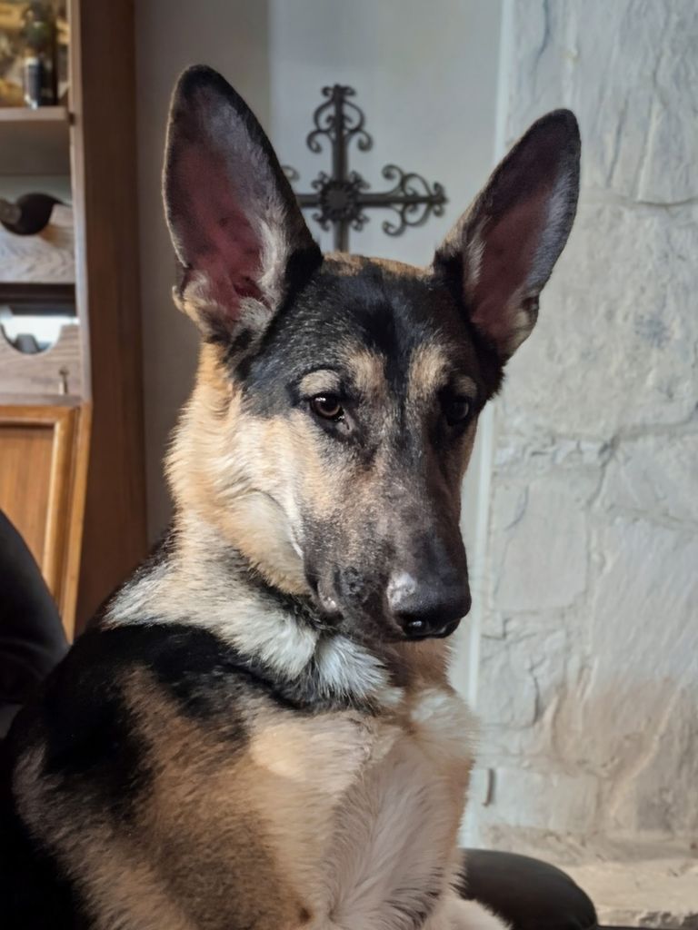 Recon Jack Floyd Profile Photo