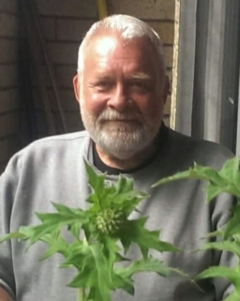 David W Hickman