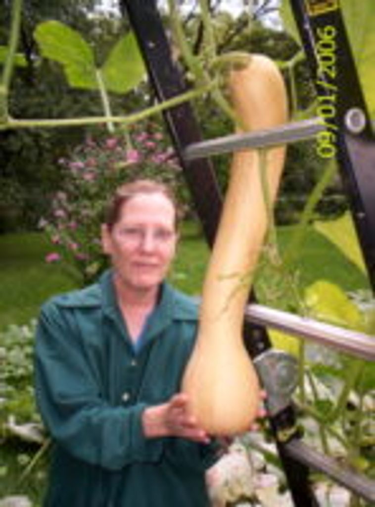 Janet B. Roefer