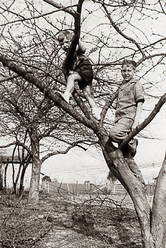 Gary Orfield photo gallery thumbnail 3 of 80