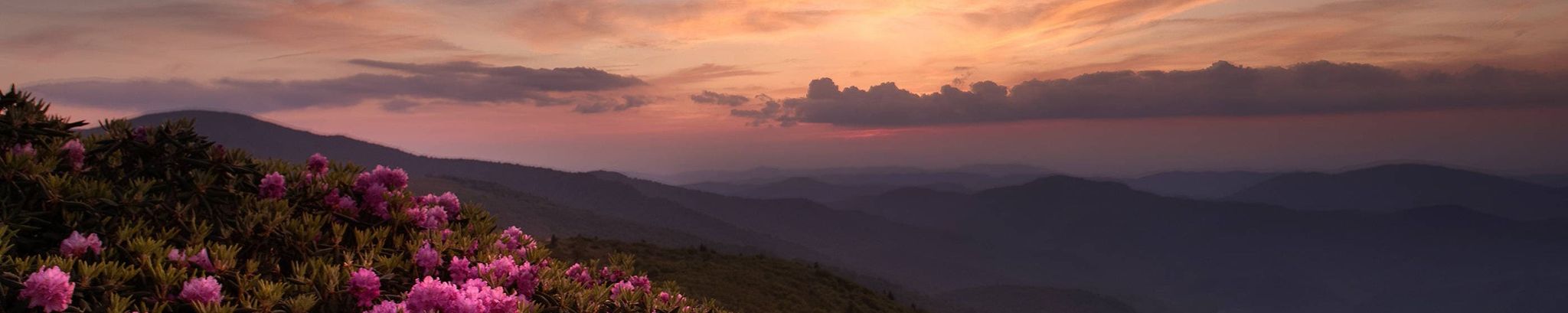 Cover photo for Pamela (Jones) Woods's Obituary