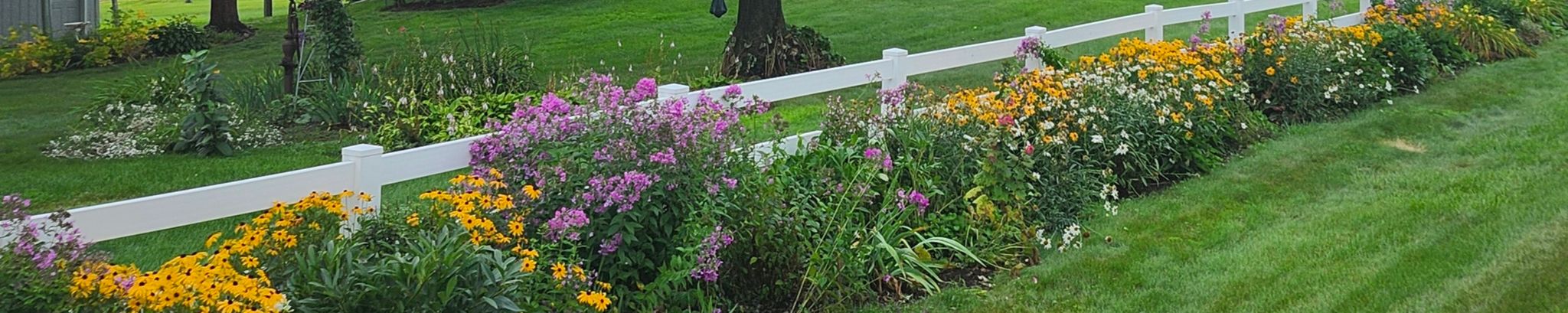 Cover photo for Jean Toms Holte Springer's Obituary