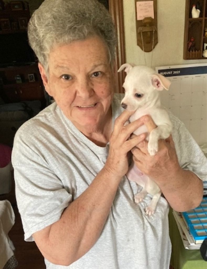 Carolyn Jean Newcomb Hayslett Profile Photo
